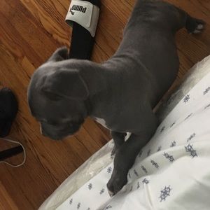 Meet your Posher, Jasmine